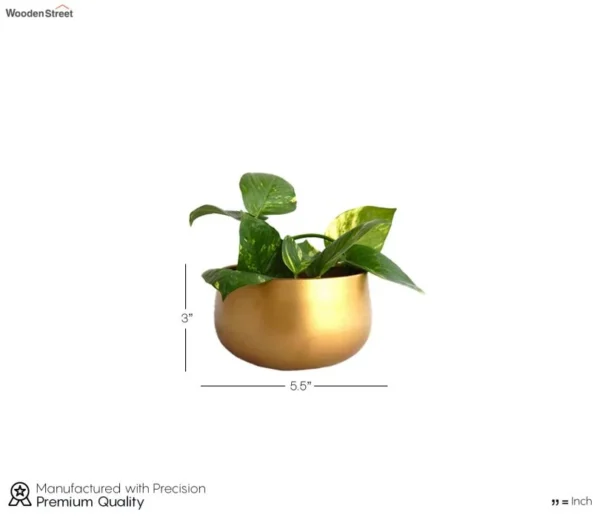 Zoe Metal Gold Metal Plant Pot - Image 7