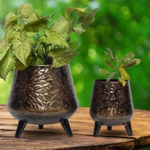 Hazel Metal Dark Charcoal Planter Pot with Stand ( Set of 2 )