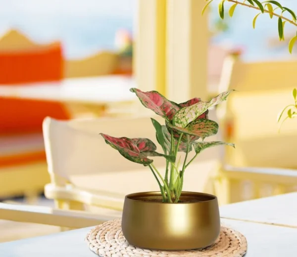 Zoe Metal Gold Metal Plant Pot